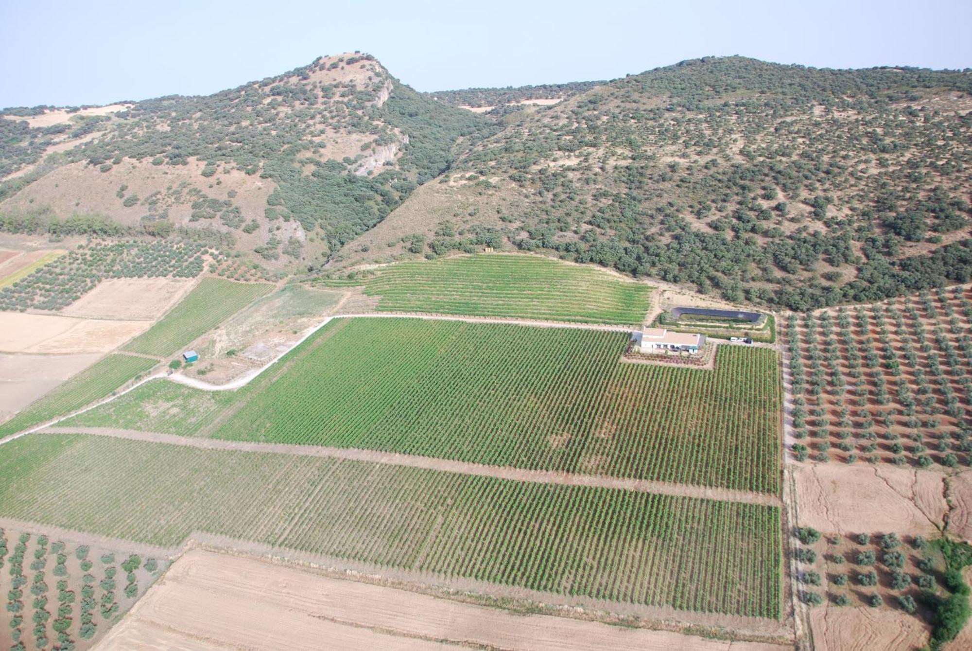 Bodegas Morosanto - Apartamento Lunera La Cimada المظهر الخارجي الصورة